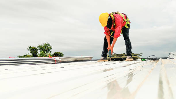 Best Green or Eco-Friendly Roofing Solutions  in Warrensburg, IL